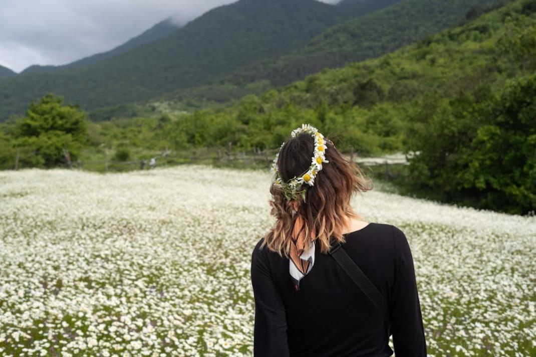 Gvirilas Sakhli Guest House Khashuri エクステリア 写真